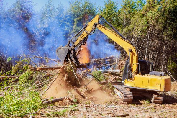 Albany Land Clearing