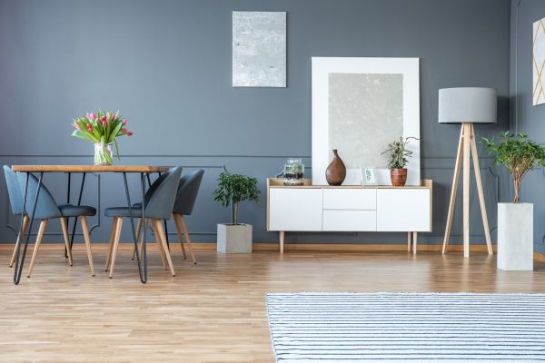 Albany Interior Painting