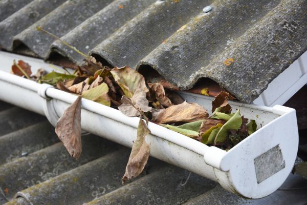 Albany Gutter Cleaning